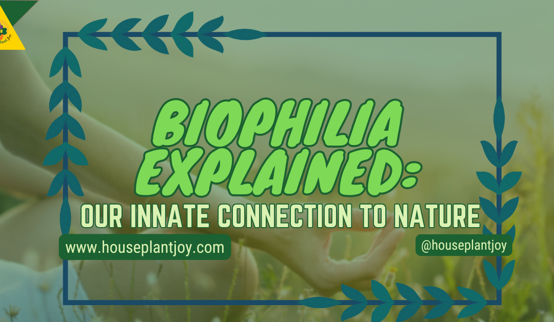 Biophilia Explained: Our Innate Connection To Nature