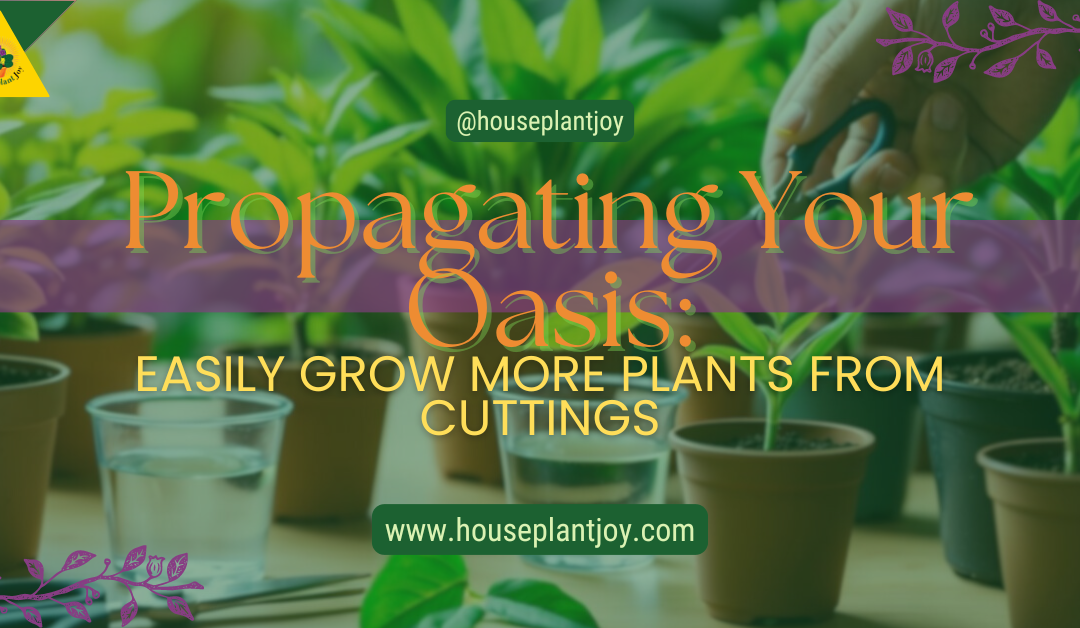 Propagating Your Oasis: Easily Grow More Plants From Cuttings