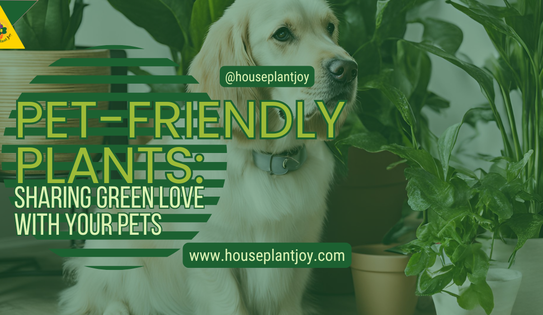 Pet-Friendly Plants: Sharing Green Love with Your Pets