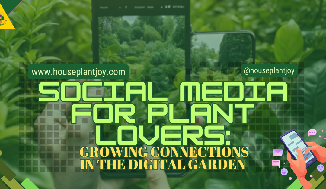 Social Media For Plant Lovers: Growing Connections In The Digital Garden