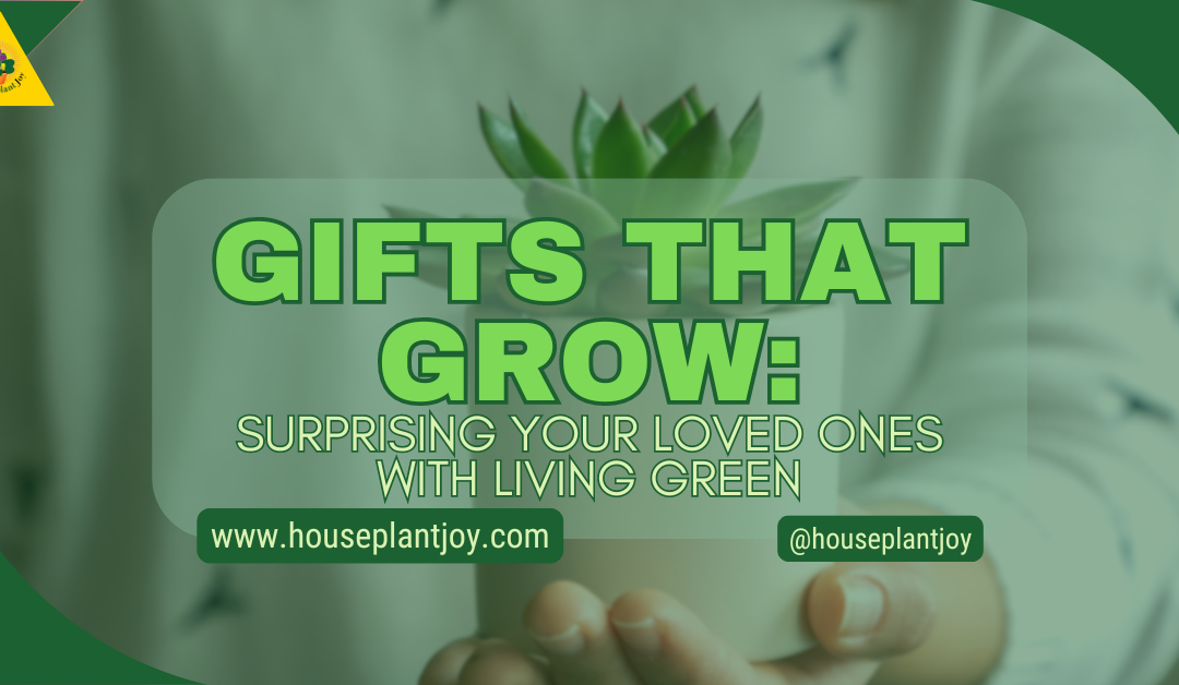 Gifts That Grow: Surprising Your Loved Ones With Living Green