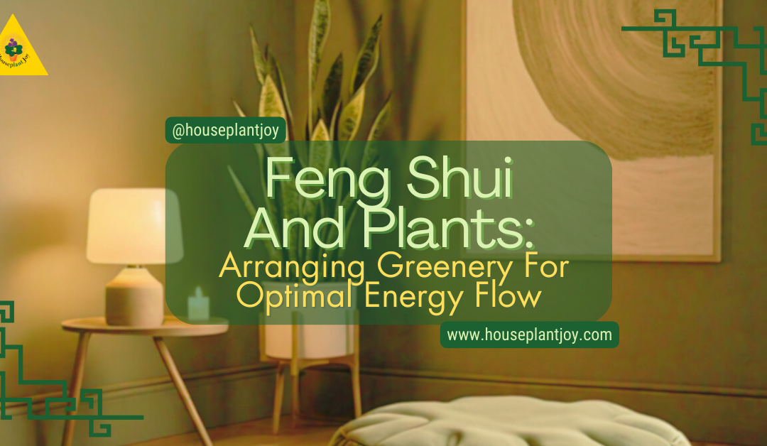 Zen Zone: Creating A Meditation Corner With Mindful Plant Selection