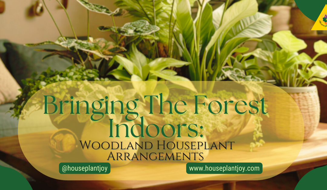 Bringing The Forest Indoors: Woodland Houseplant Arrangements