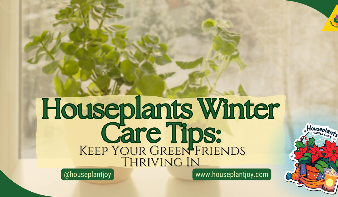 Houseplants Winter Care Tips: Keep Your Green Friends Thriving In