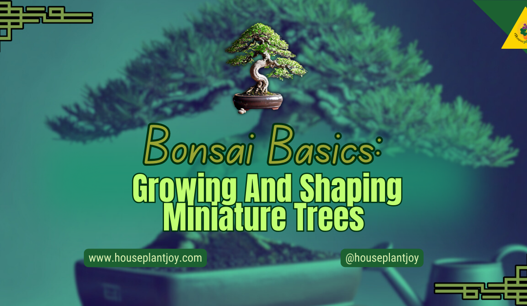 Bonsai Basics: Growing And Shaping Miniature Trees