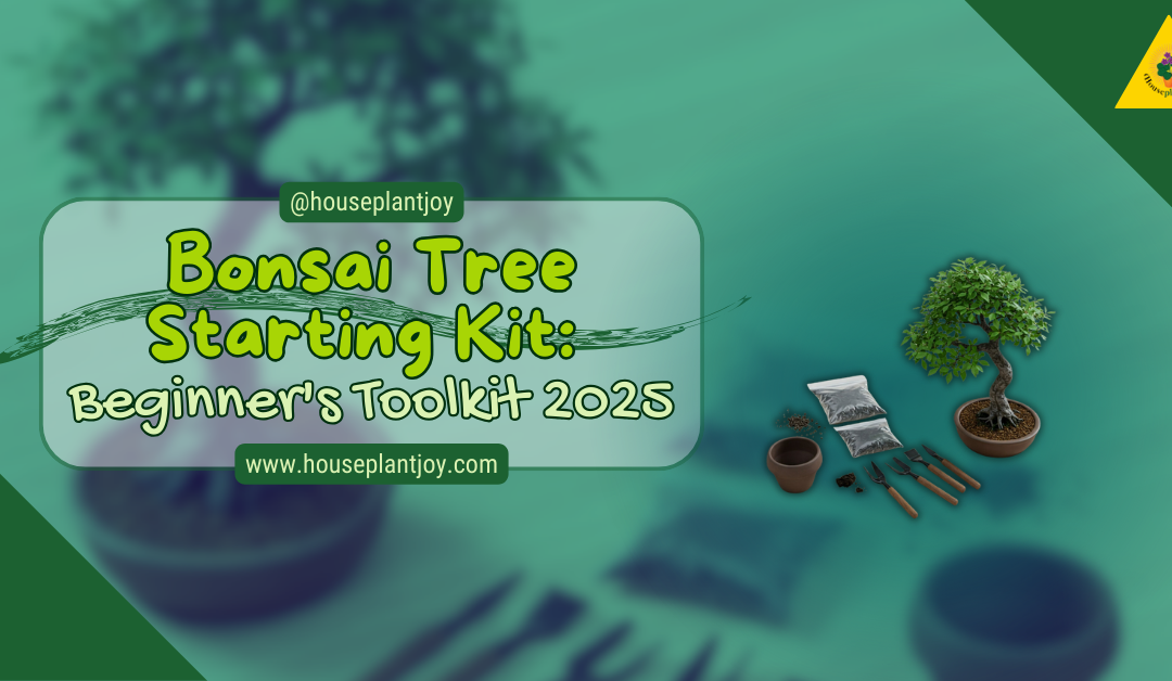 Bonsai Tree Starting Kit: Beginner’s Toolkit 2025